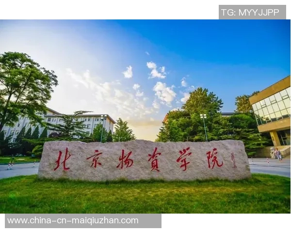 北京网球队灵活性揭秘：从训练到比赛的全方位分析与探讨MBA